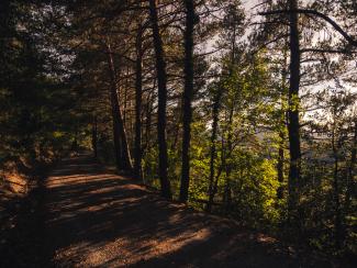 La llum del bosc, Muntanyes de Prades