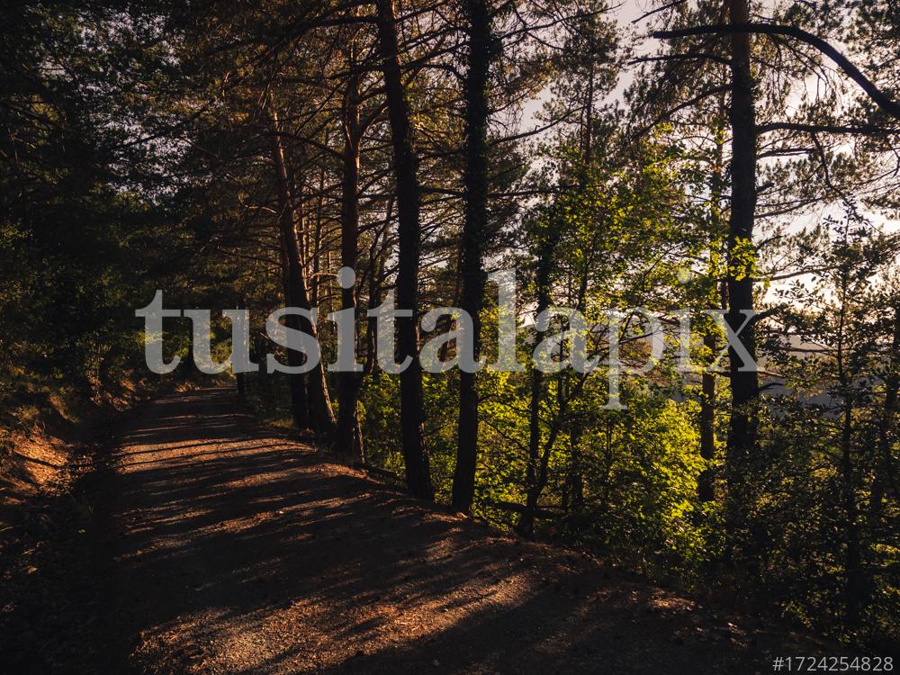 La llum del bosc, Muntanyes de Prades